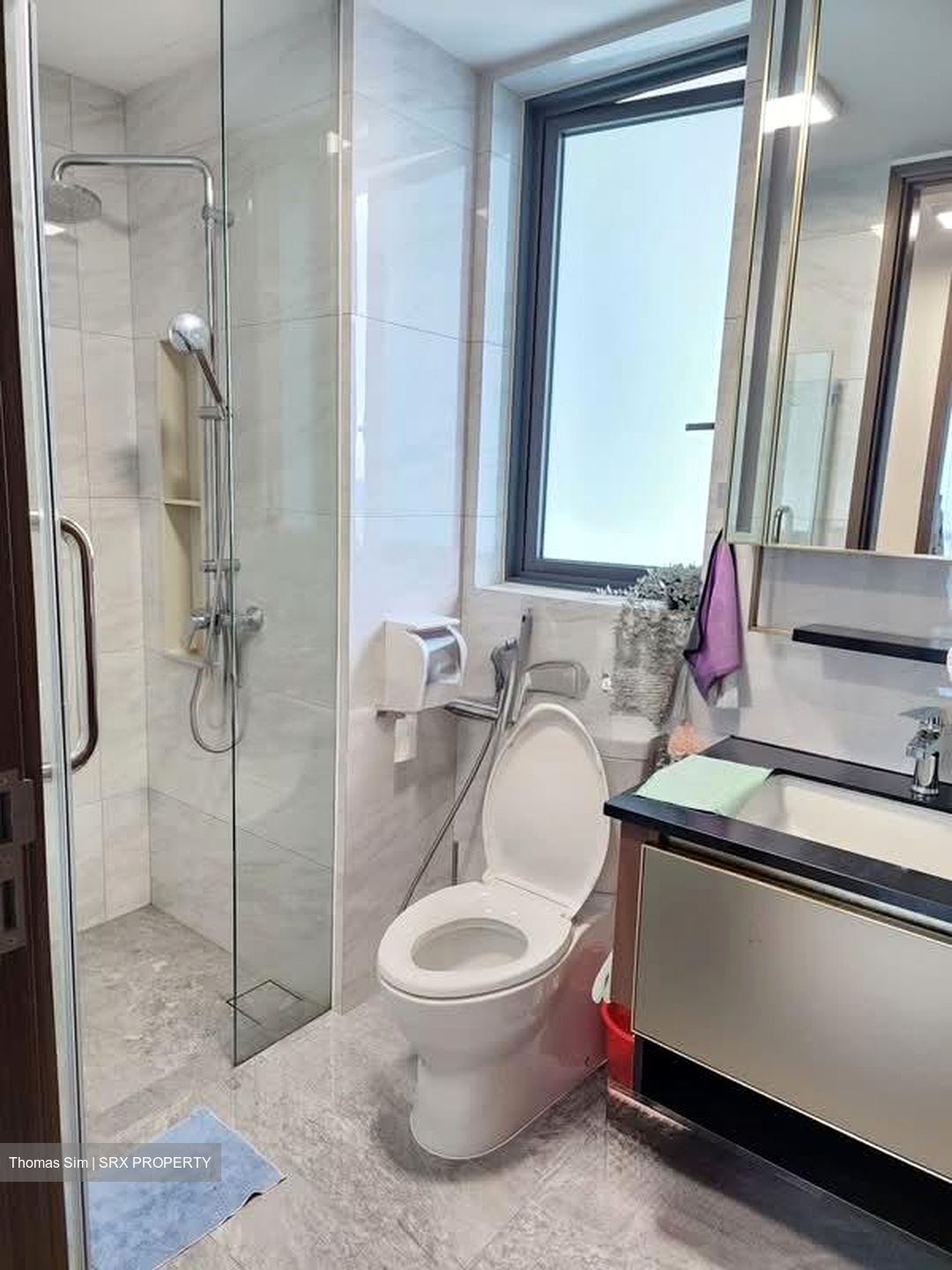 Normanton Park (D5), Apartment #602737381
